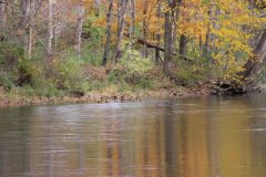 KinderhookReserveHikeTheKinderhook10-2022