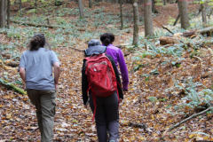 KinderhookReserveHikers