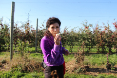 SamascottApplesBite2022