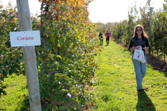 SamascottCordera2022